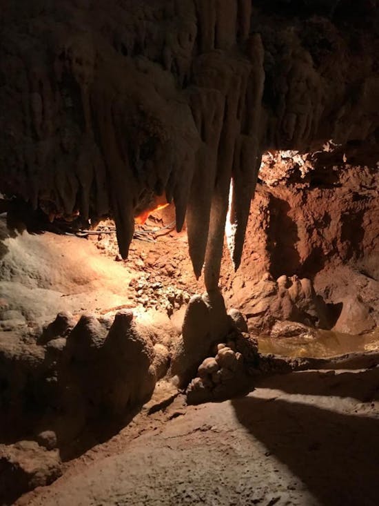 Domaine de la Grotte Saint Cézaire