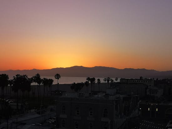 Venice Beach