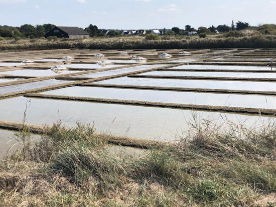 Marais salants de Guérande