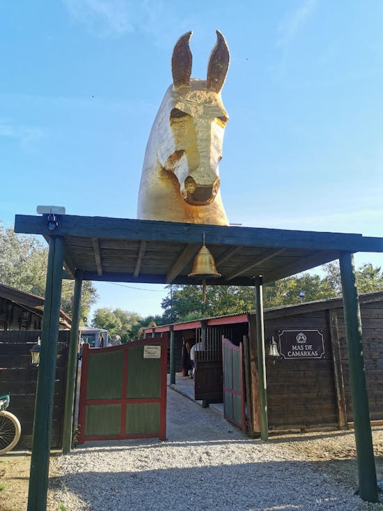 Théâtre Equestre Camarkas